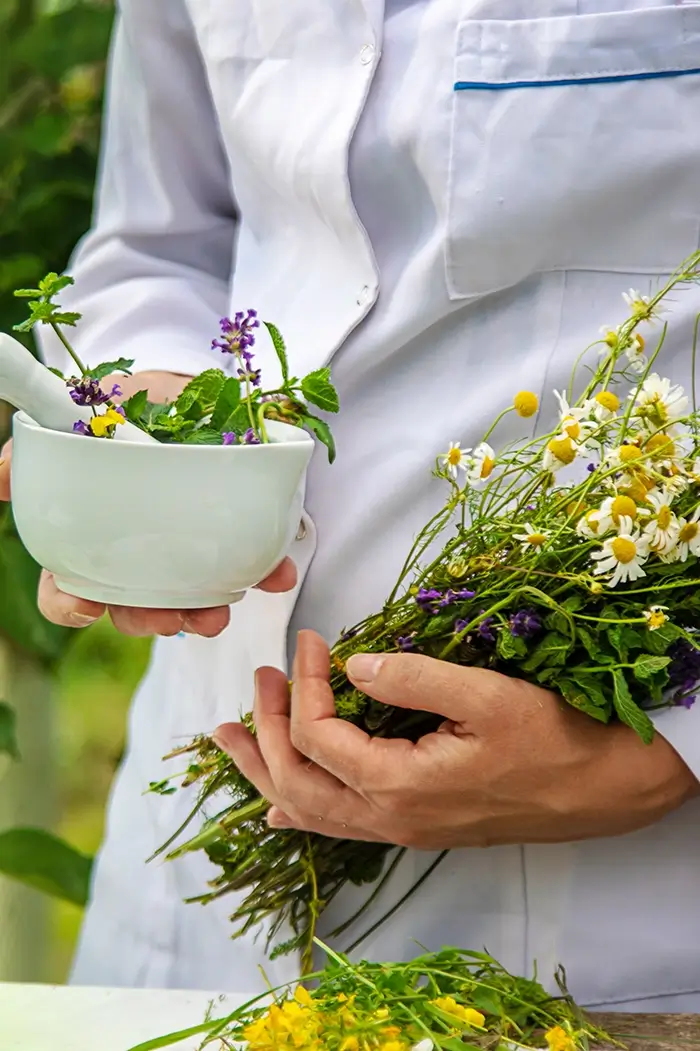 medicinal-herbs-homeopathy-and-alternative-medicin-2024-12-19-20-06-05-utc copy